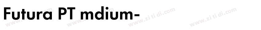 Futura PT mdium字体转换